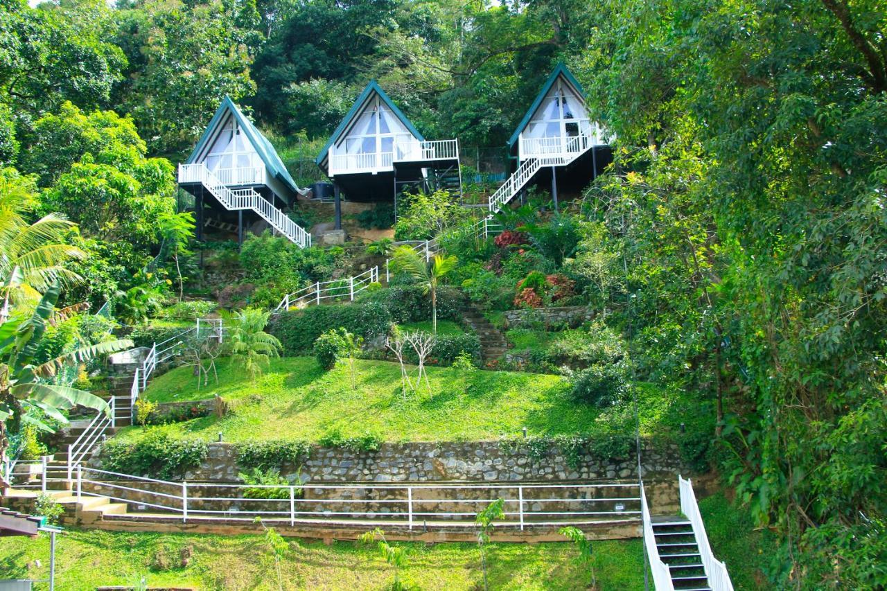 Orchid Villa Kandy Exteriör bild